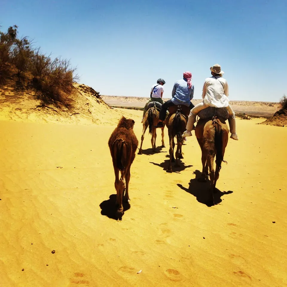 3 Tage Schwarze & Weiße Wüste – Individuelle Safari ab/bis Bahariya